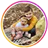Photo de profil feedback1